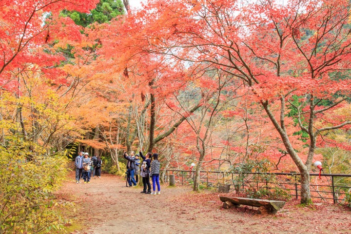 奥津渓の紅葉と奥津温泉で心も体もリフレッシュする秋のドライブコース